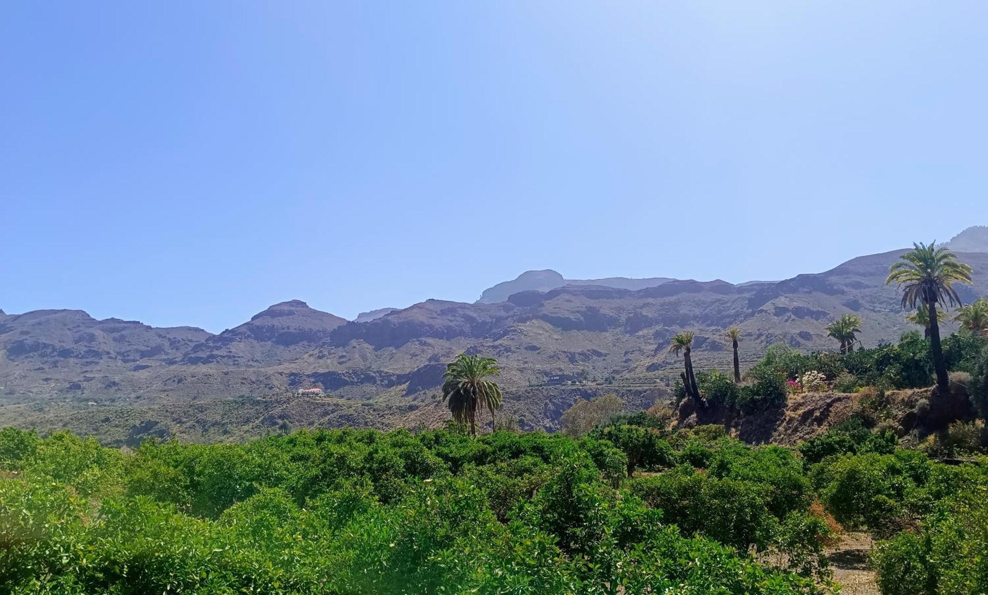 La Casa De La Pradera Villa Santa Lucia De Tirajana ภายนอก รูปภาพ